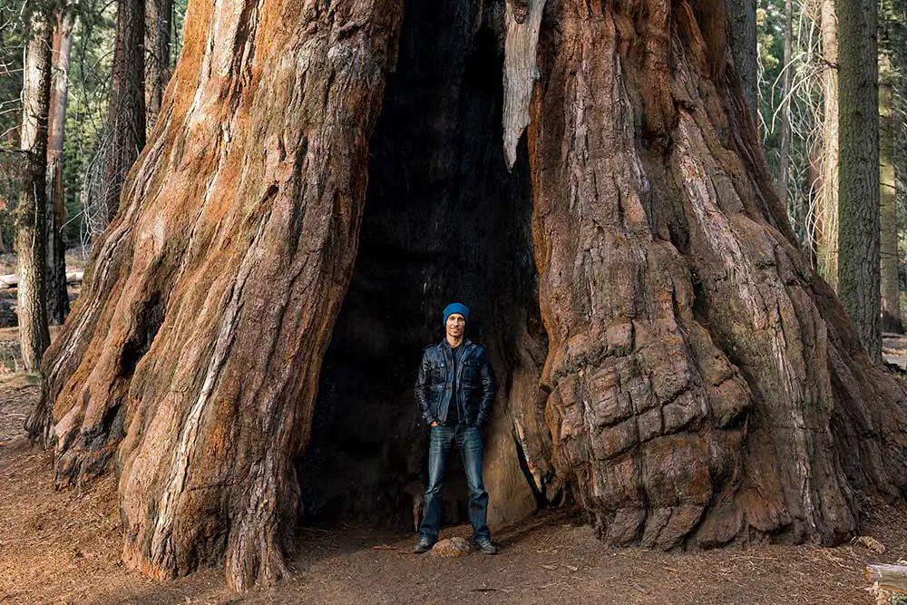 Interview with Christos J.Palios; published in our print edition #19