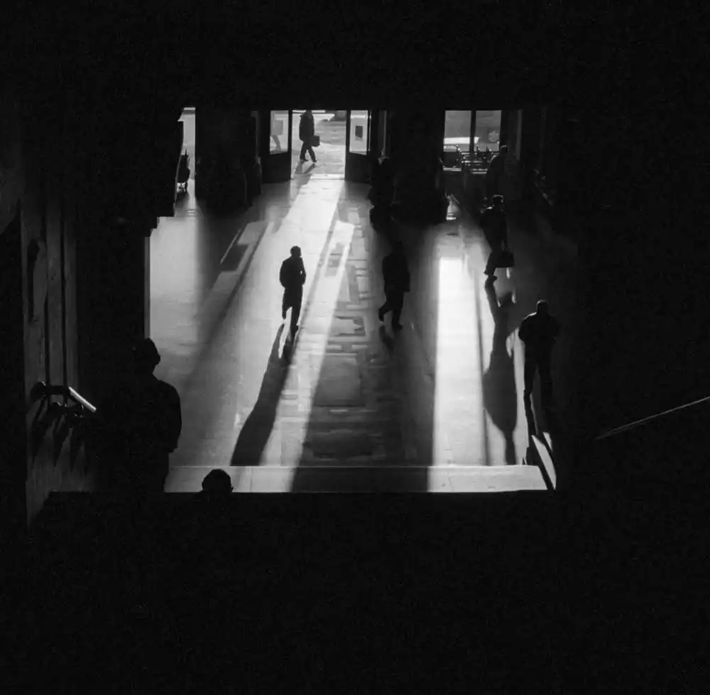 November Light by Kip Harris