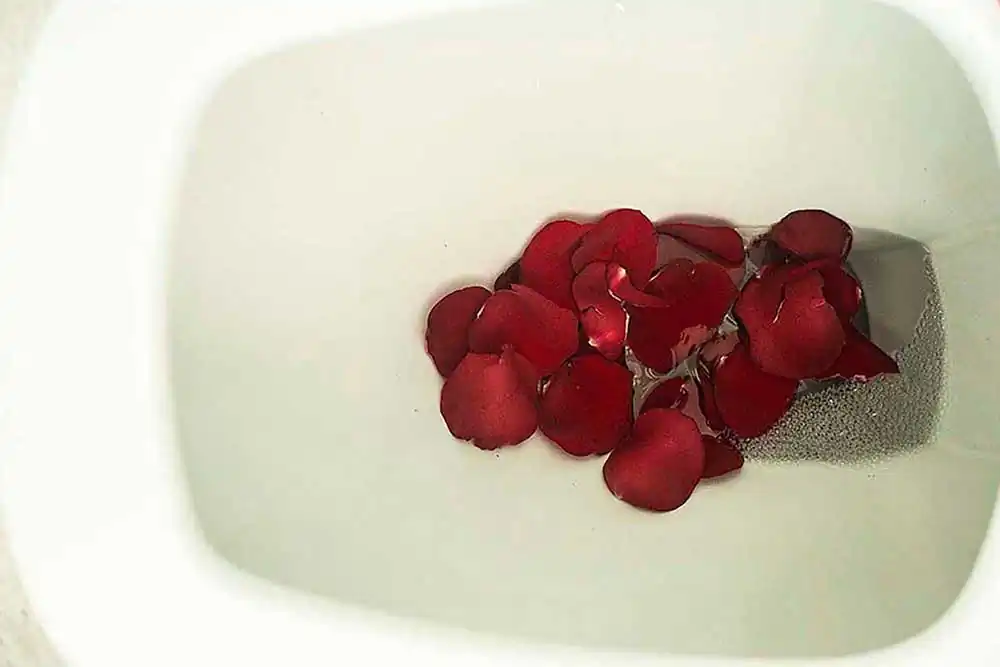 Beginning to die by Ana Leal