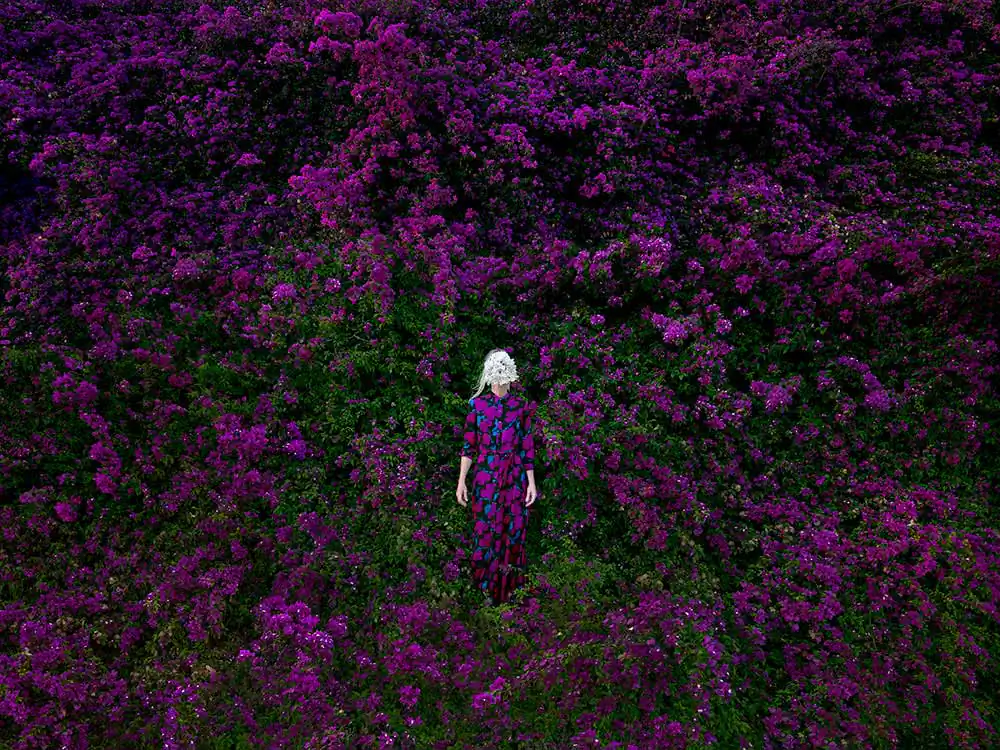 Without Words by Bootsy Holler