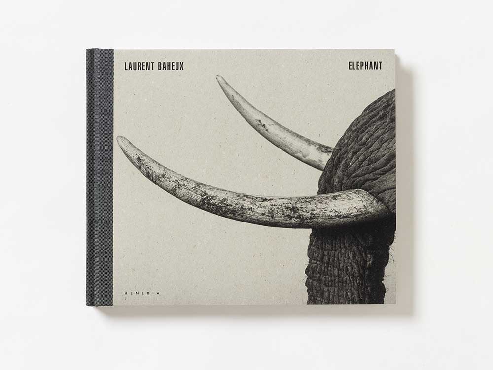 Photobook; Elephant by Laurent Baheux