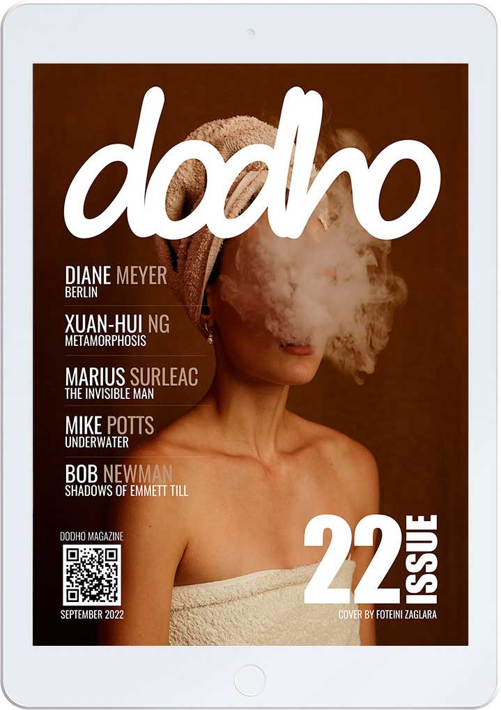 https://www.dodho.com/wp-content/uploads/2022/09/Dig22.jpg