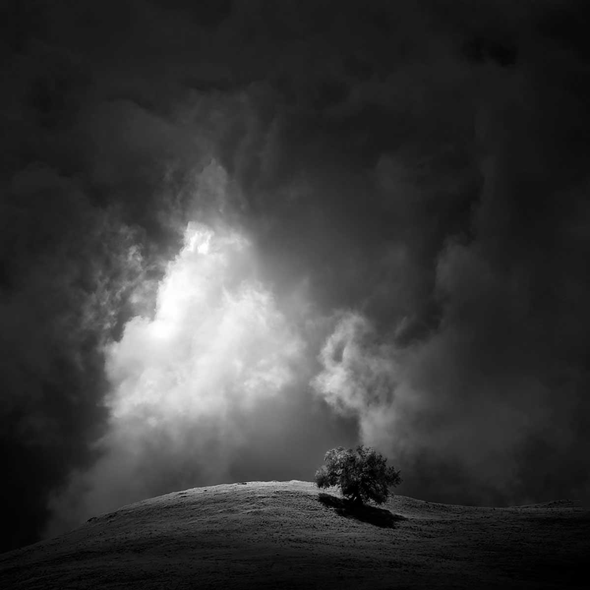 https://www.dodho.com/wp-content/uploads/2022/09/Nathan-Wirth-US.jpg
