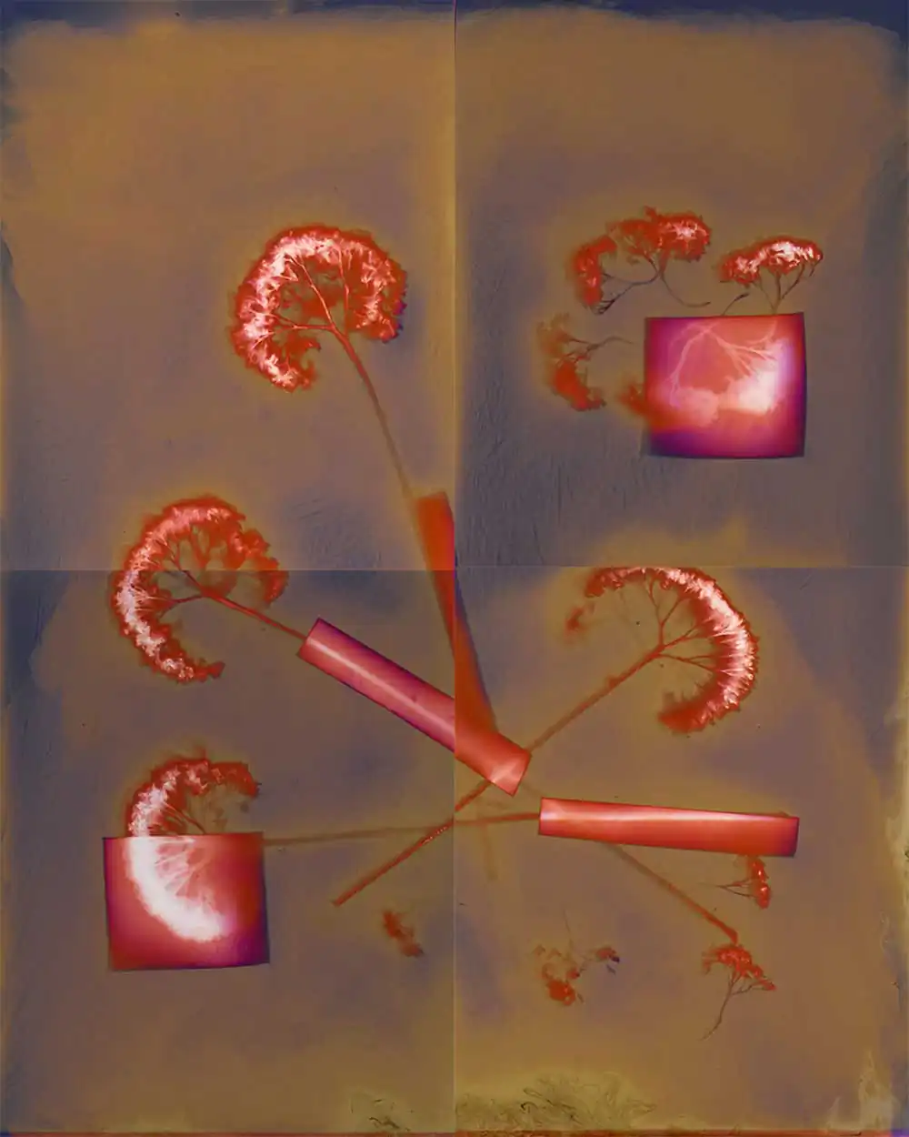 Learning Mandarin and the Language of Lumens by Jacqueline Walters