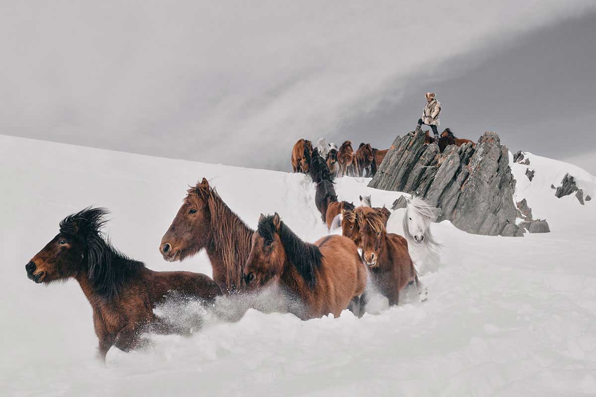 https://www.dodho.com/wp-content/uploads/2022/11/Klink-Oliver_Mongolian-Horses.jpg