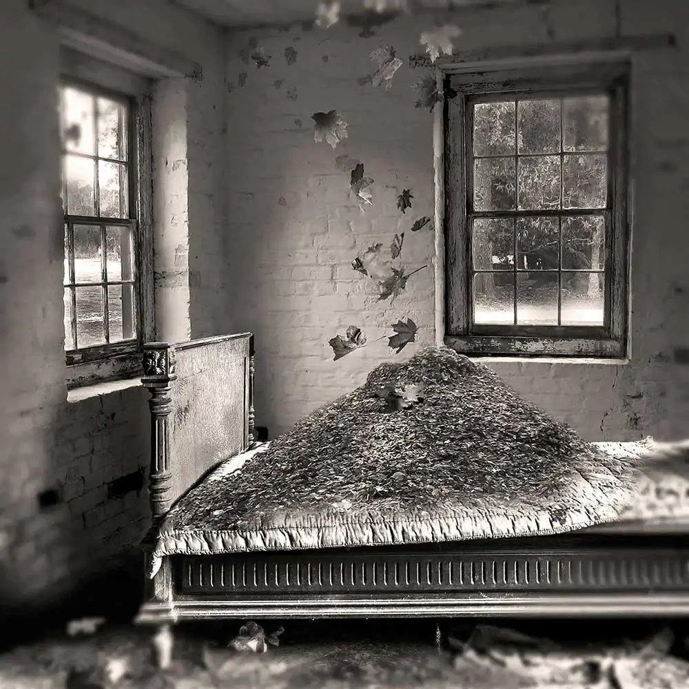 Sleepless by Rebecca Sexton Larson