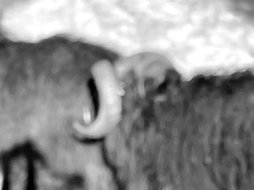 Refractions of Desire by The Sodville Seven