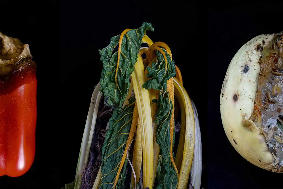 Fallen Fruit by Julie Fowells