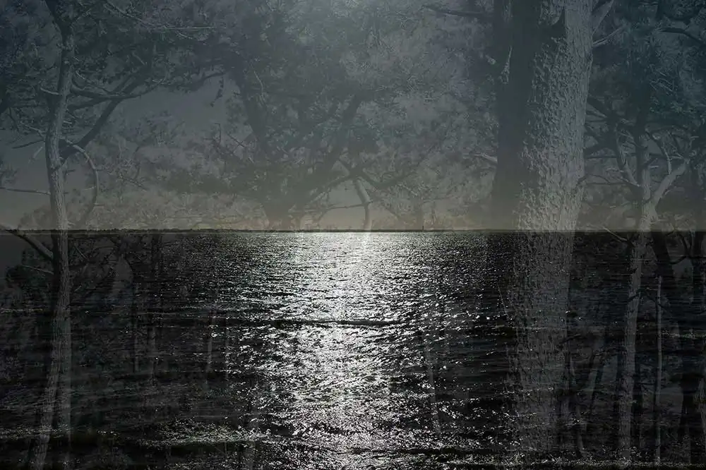 Equanimity by Bruno Palisson