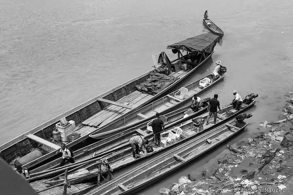 Audacity and Insolence; The Sacred Fire by François Maurel