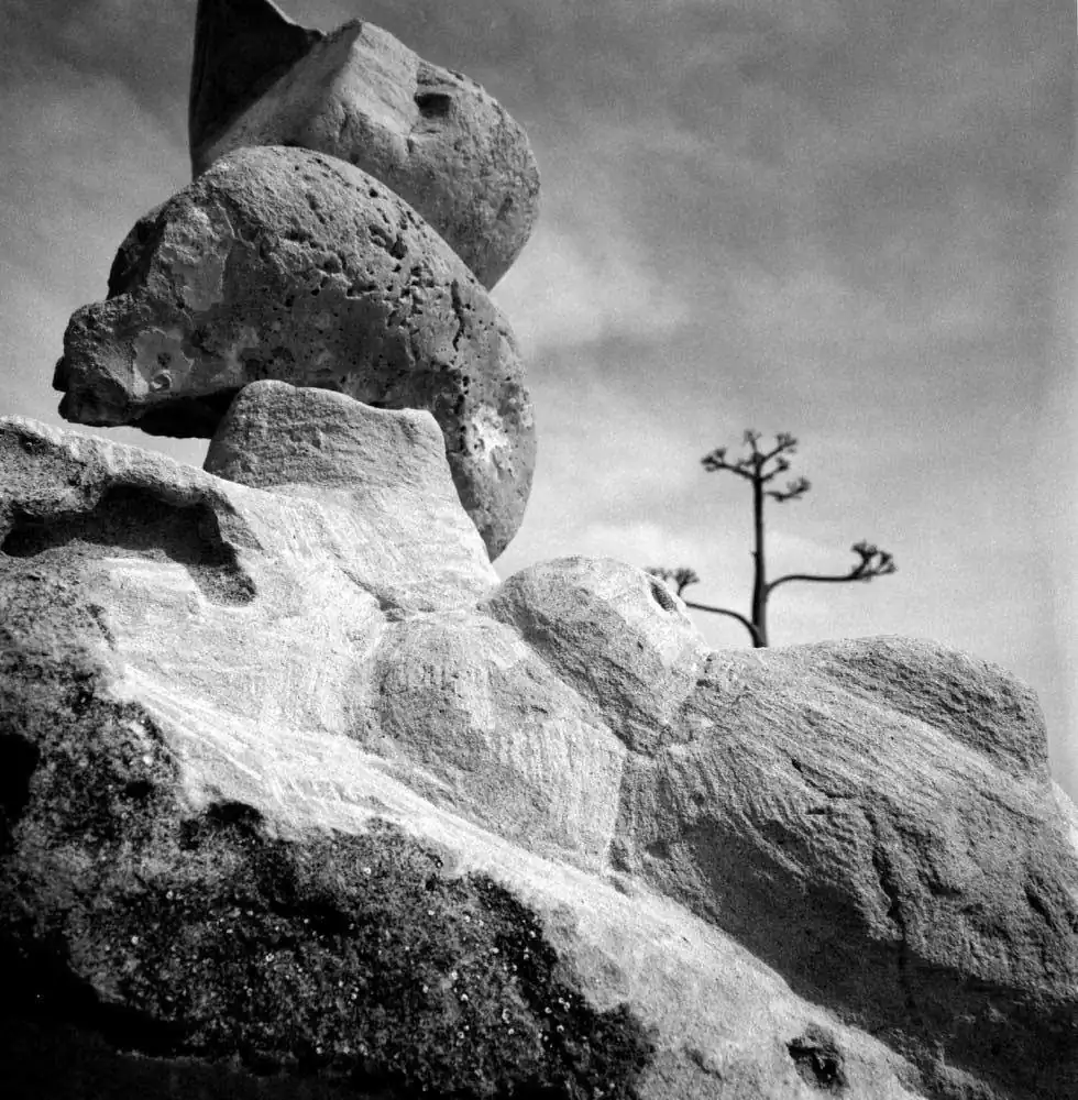 The mysterious world of Cala Palmera by Mitar Terzic