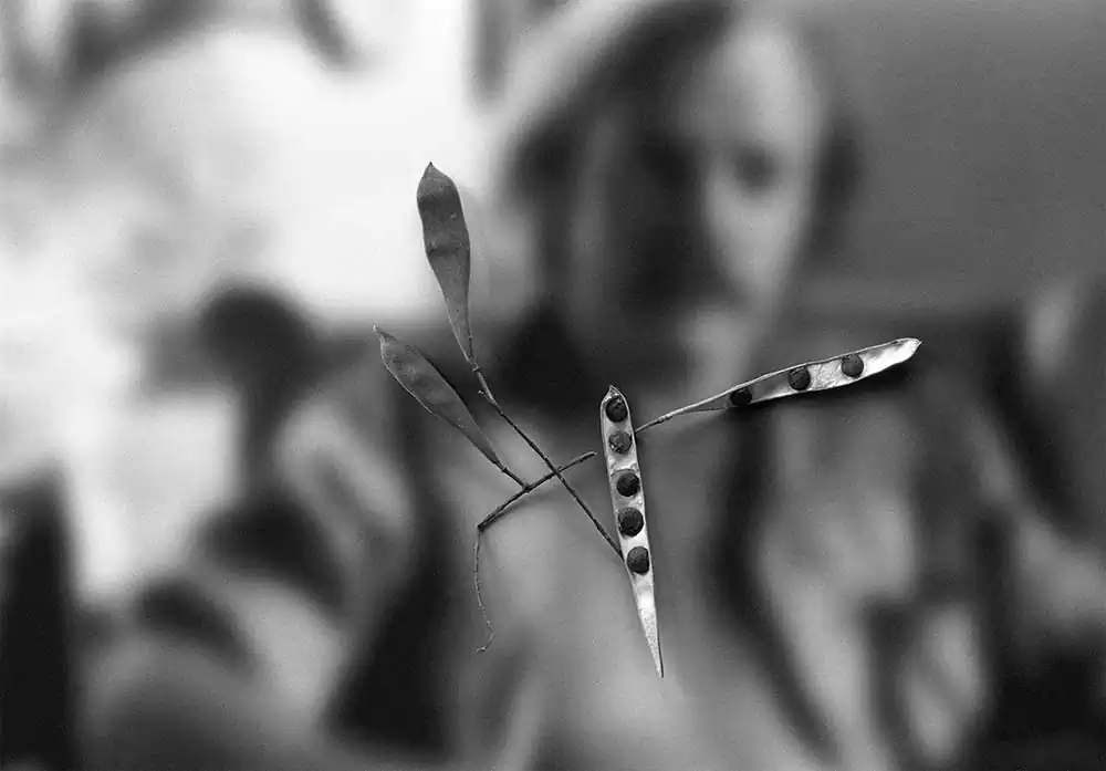 Landscapes of Presence by Jerry Takigawa