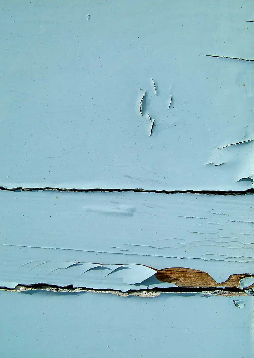 Blue Sea by Oscar Amorós