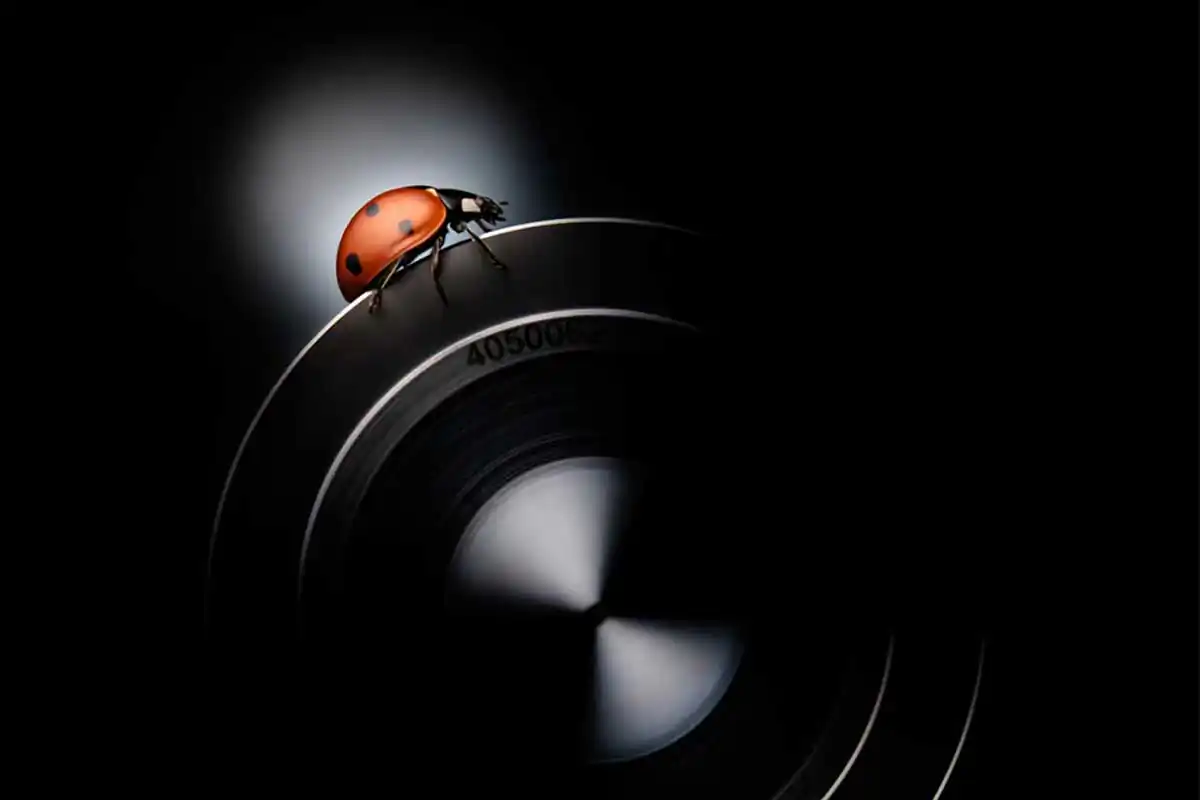 When Nature meets Technics by Adam Neuba