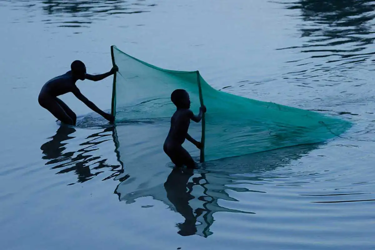 Better in the dark than his rider by Francesco Merlini