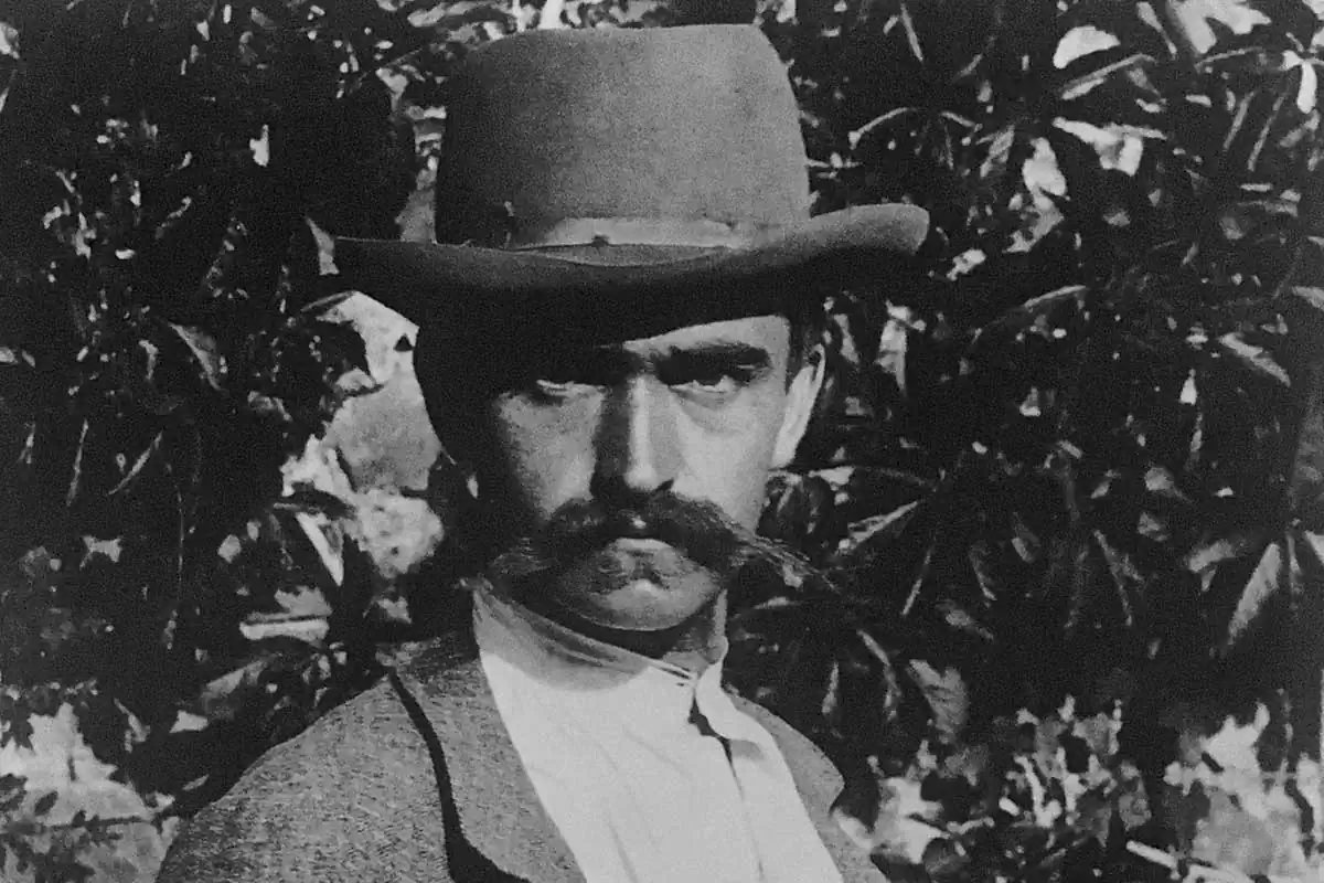 Karl Blossfeldt: The Architectural Beauty of Nature Captured