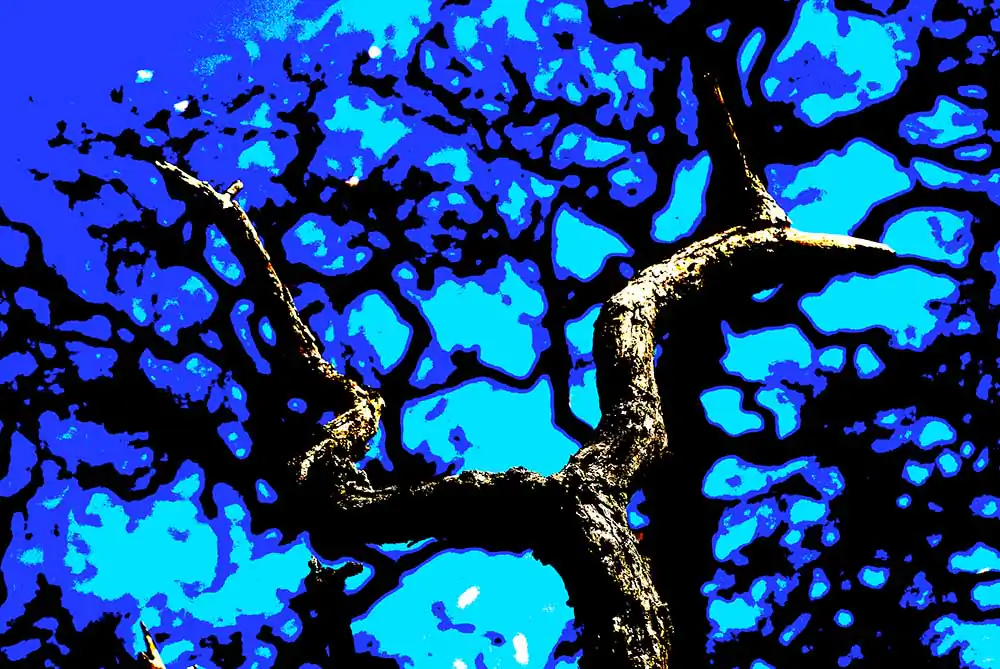 Through the Lens: Craig Scoffone’s Diverse Photographic Artistry and Experimental Imagery