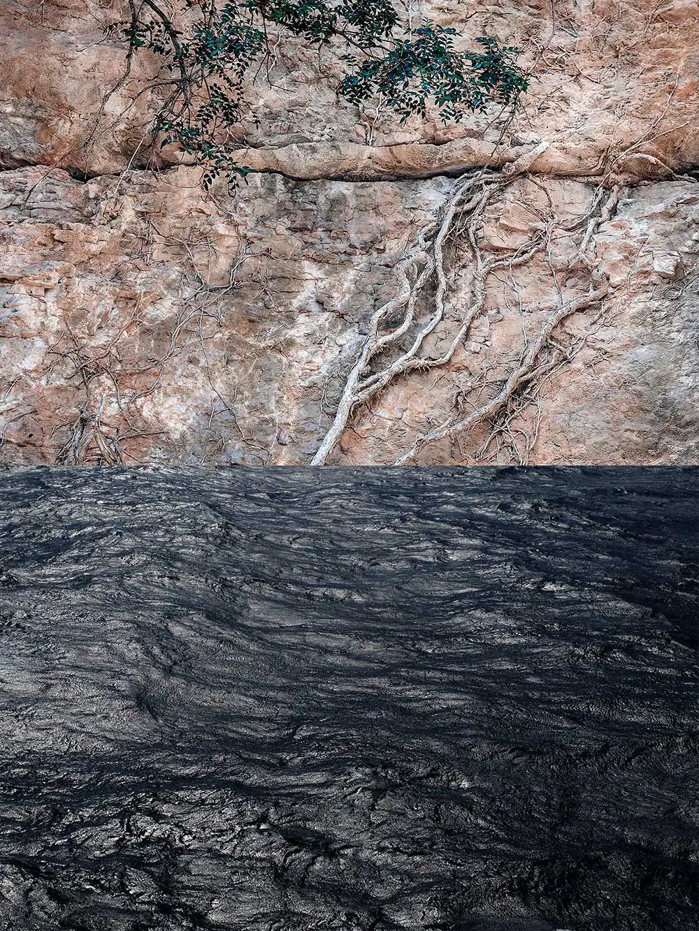 Nexus by Gregor Radonjic; Unveiling the Interconnected World of Roots and Water