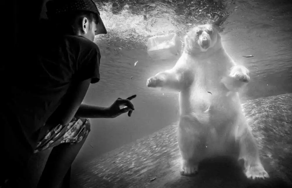 Whispers by Meera Sulaiman