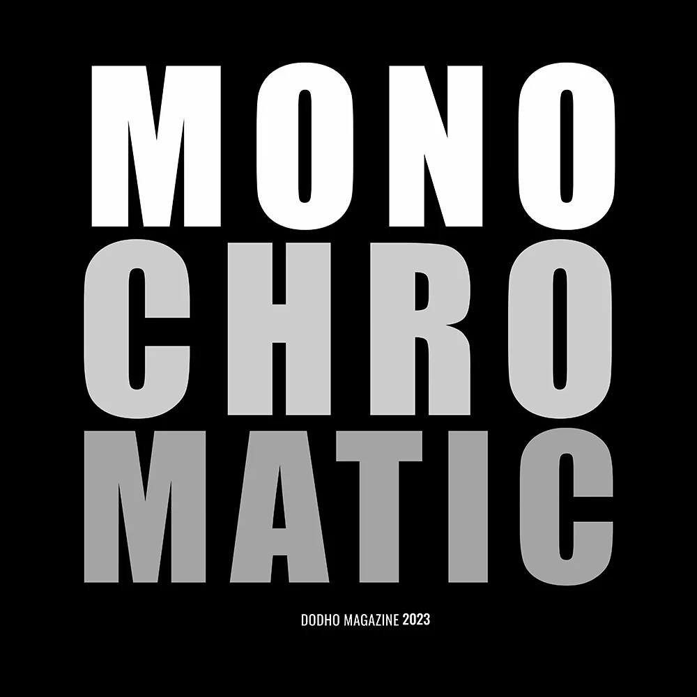 https://www.dodho.com/wp-content/uploads/2024/02/monoch23.webp
