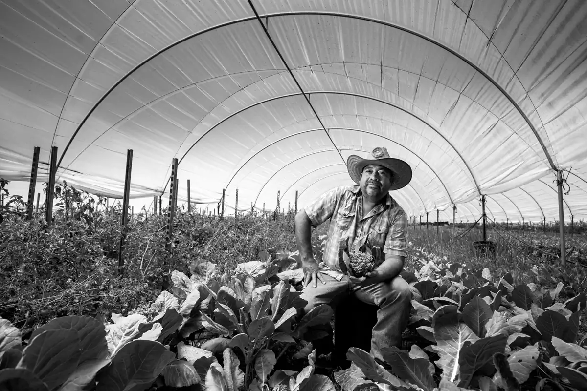 Together We rise; Immigrants in America by Mark Tuschman