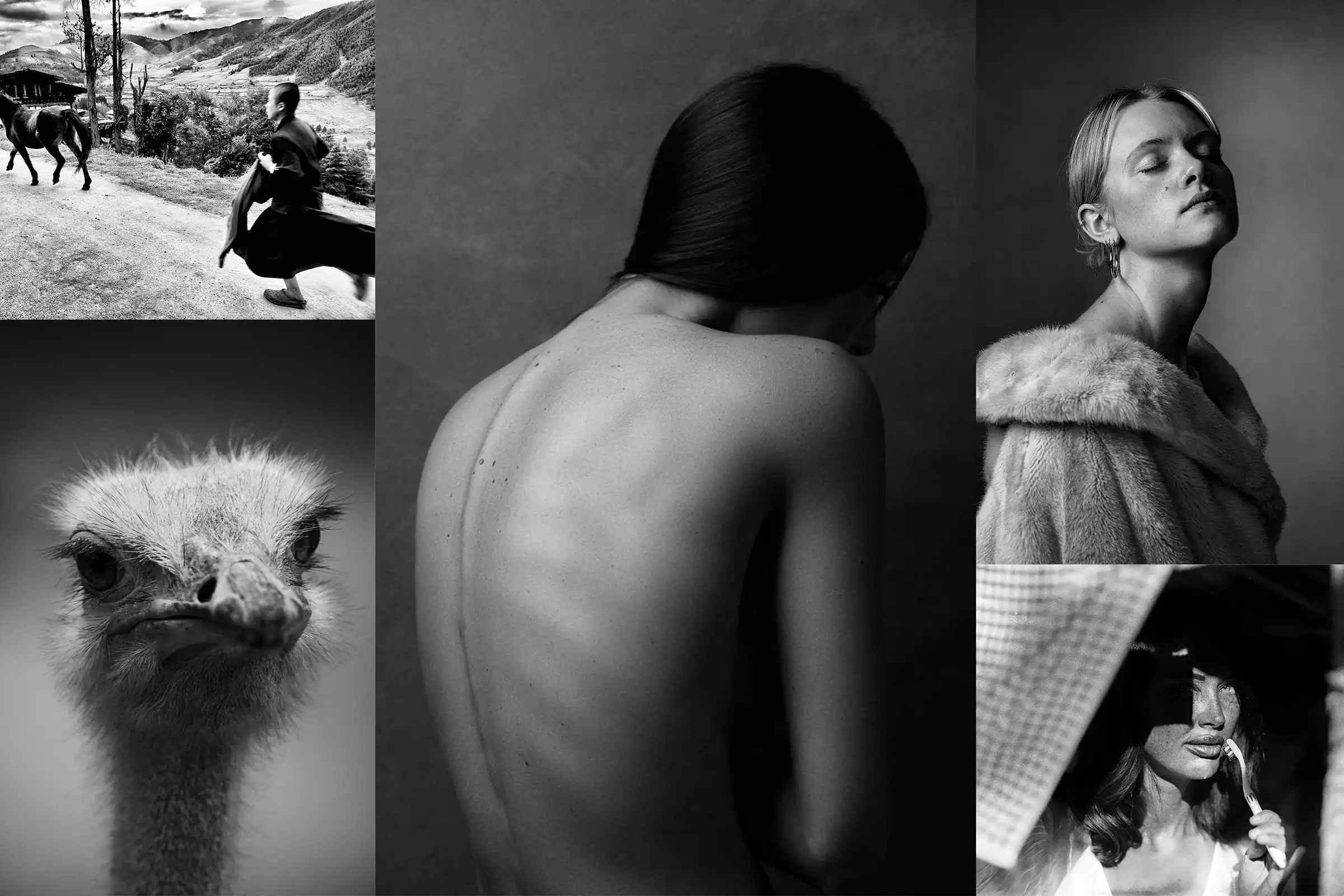 Winners: Monochromatic Awards 2024