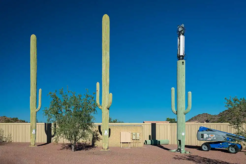 Fauxliage: Disguised Cell Phone Towers of the American West by Annette LeMay Burke