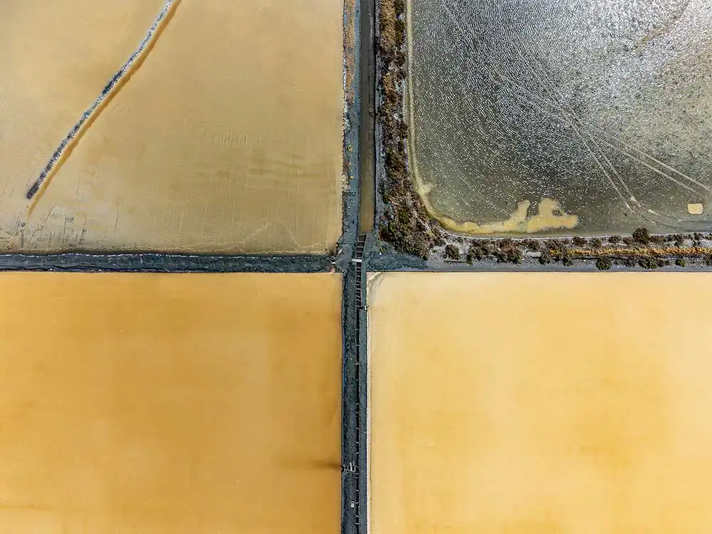 Natural abstractions from the Messolonghi-Aitoliko lagoon ecosystem by Pygmalion Karatzas.