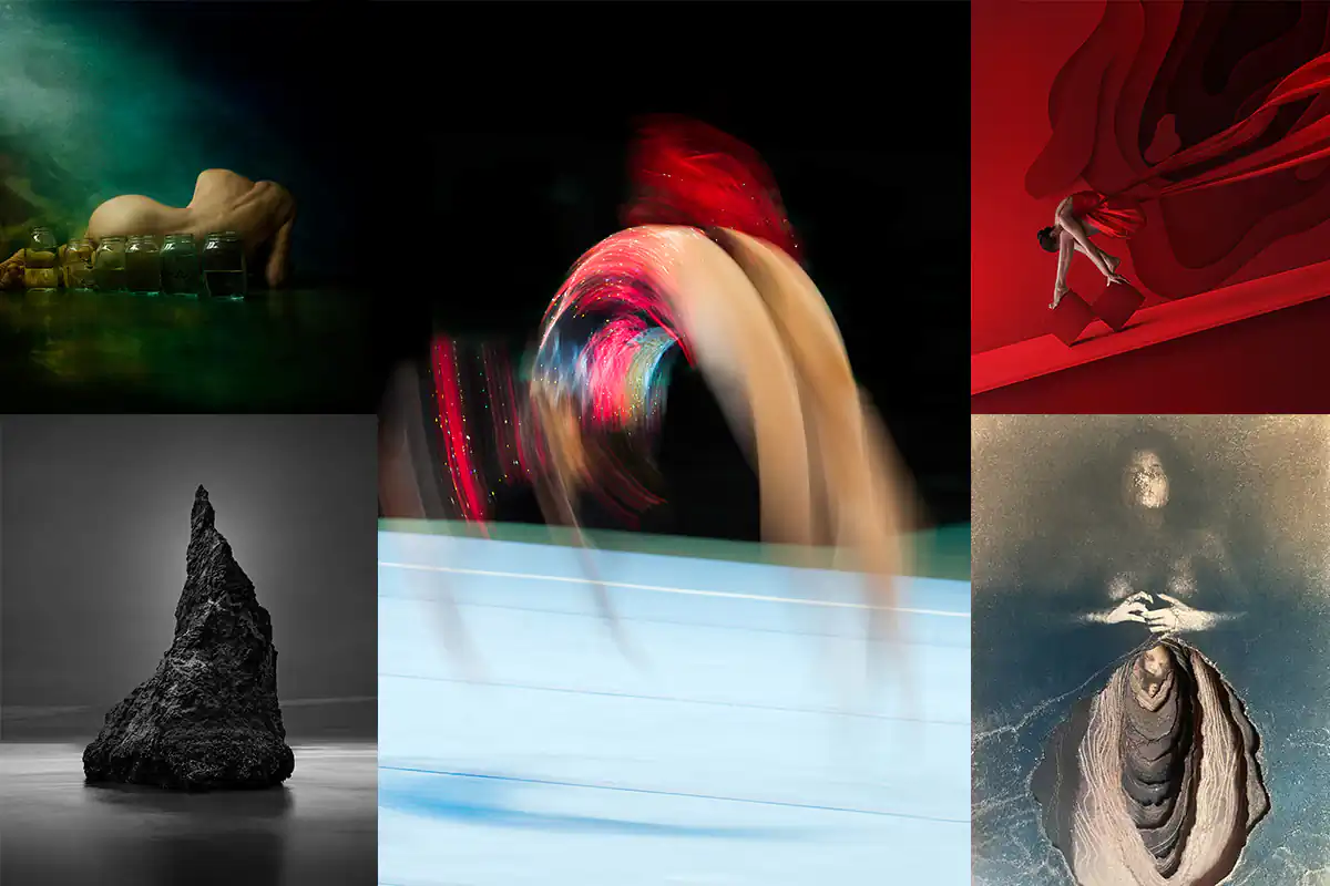 Winners: Fine Art Awards