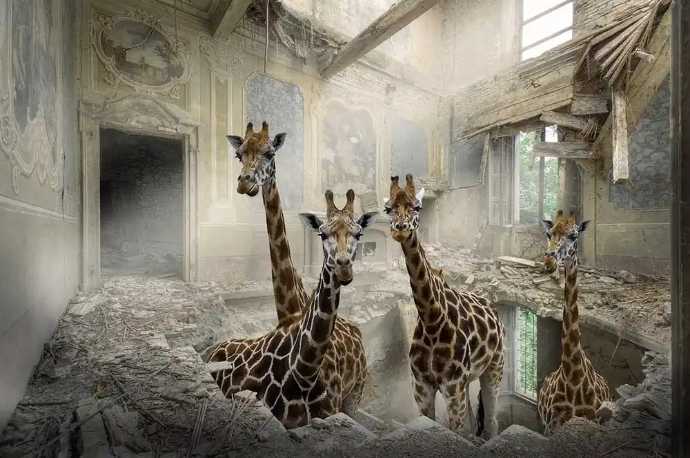 A world reimagined through the eyes of Cheraine Collette