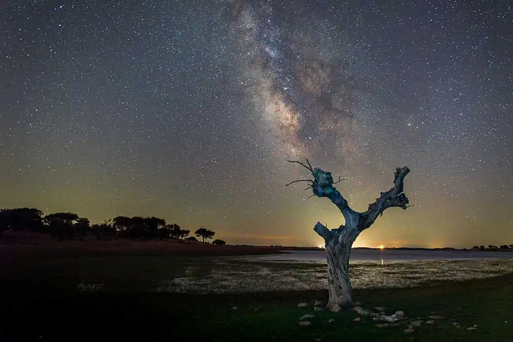 GuruShots: Night Photography