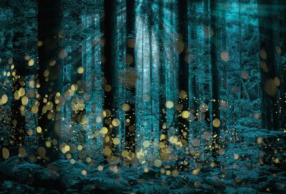 Summer Fairies; Kazuaki Koseki’s Photographic Journey Through Fireflies and Nature