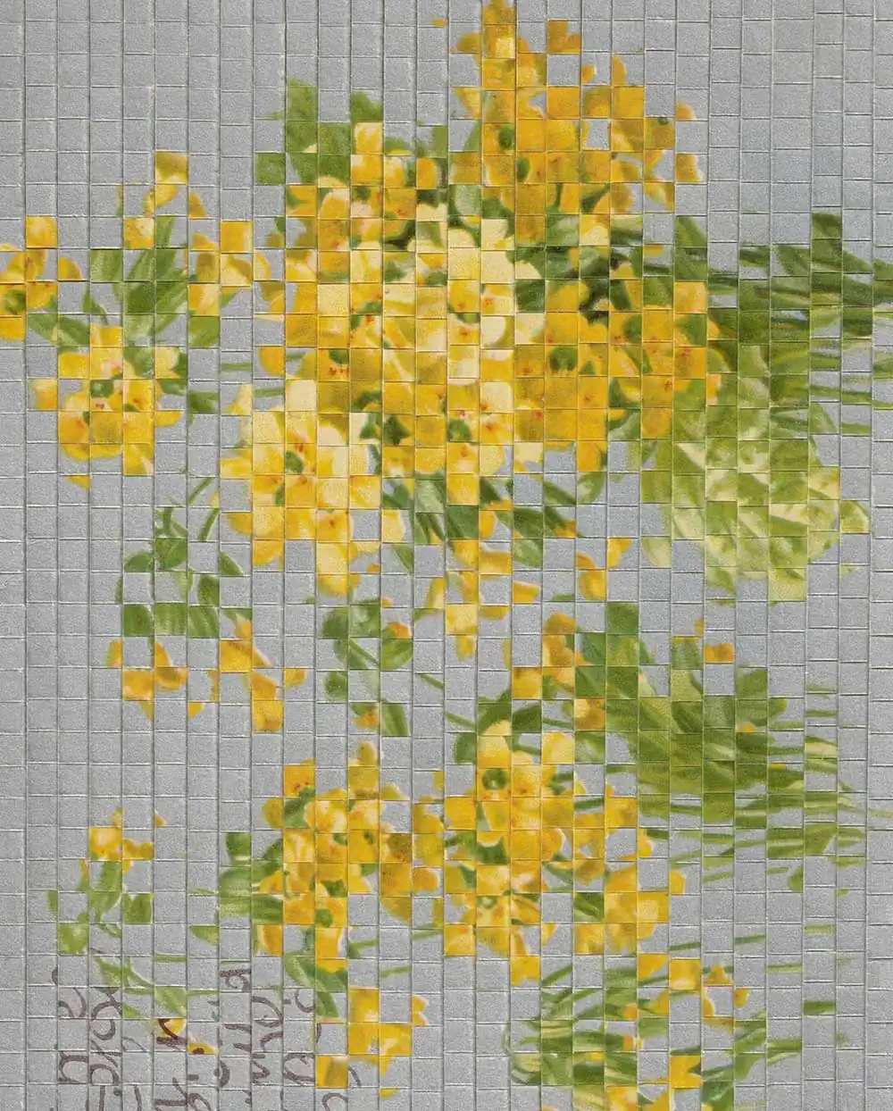 The intervened photography of Susana Blasco