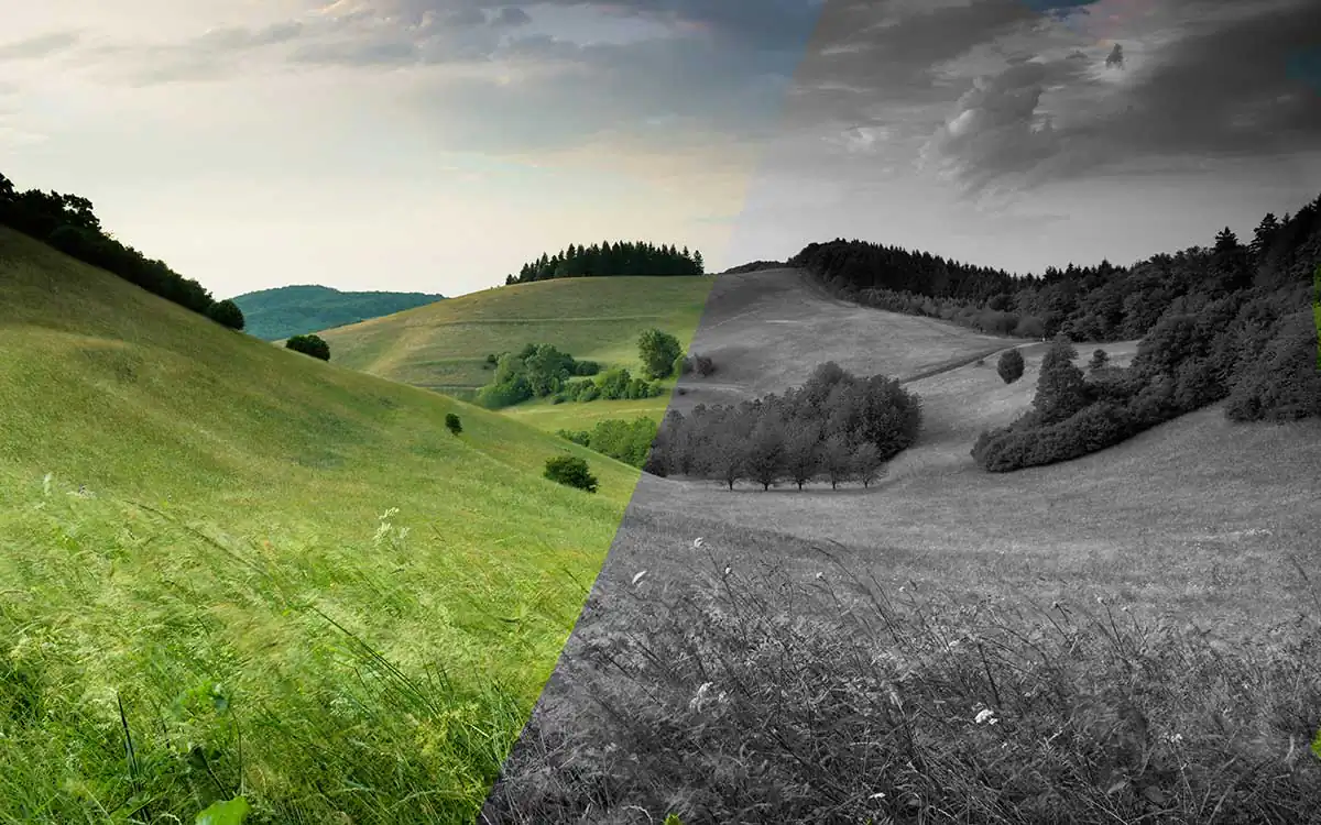 Black and White vs Color: Aesthetic Choice or Ethical Statement?