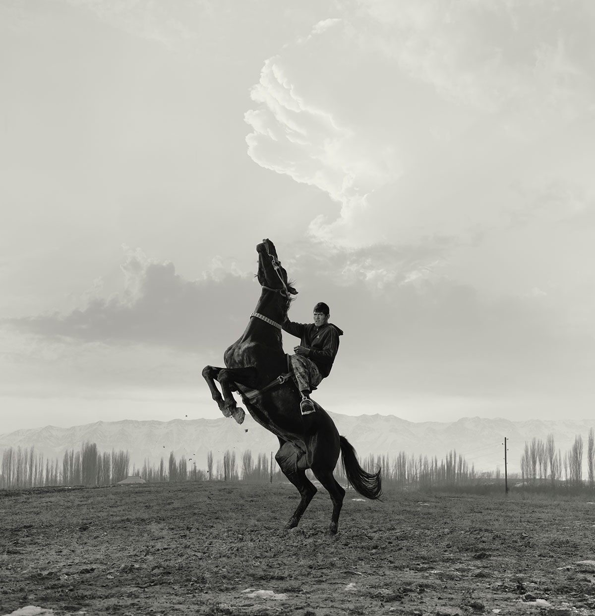 https://www.dodho.com/wp-content/uploads/2025/06/TODD-ANTONY-BUZKASHI_MARENGO-Order-152257.jpg