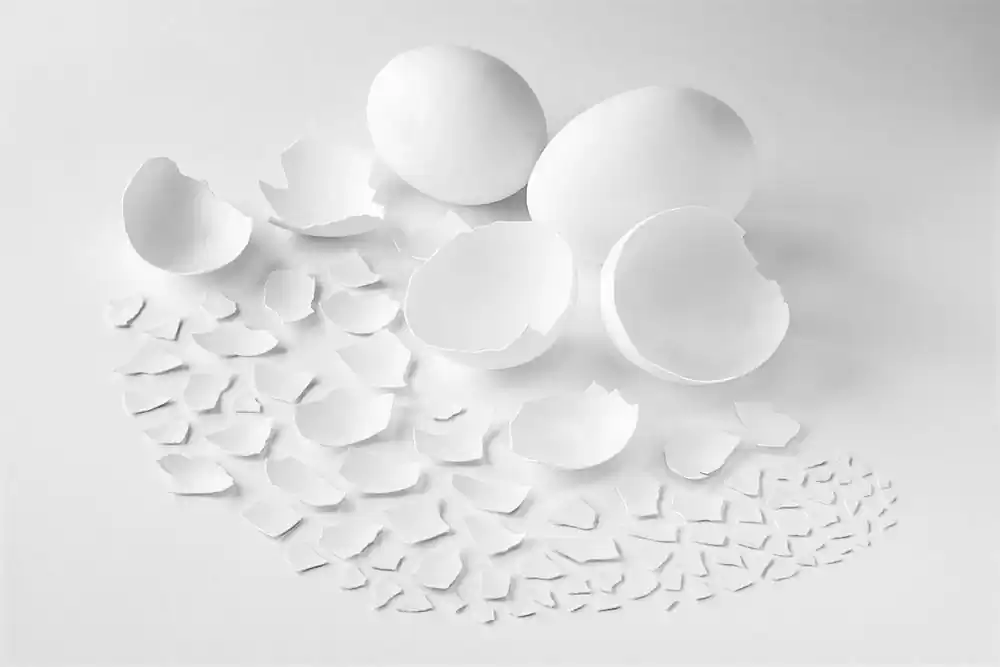 Cibografia by Luigi Boccia: A Journey Through Food and Meaning