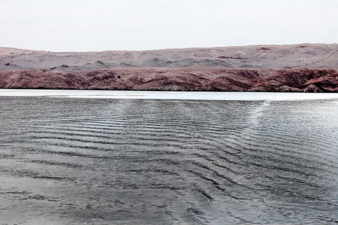 Gregor Radonjič – Metascapes: Where Matter, Mind, and Landscape Intertwine