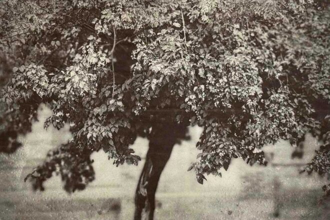 The Weight of Light by Wendi Schneider : Monochrome, Gold Leaf, and Emotional Depth