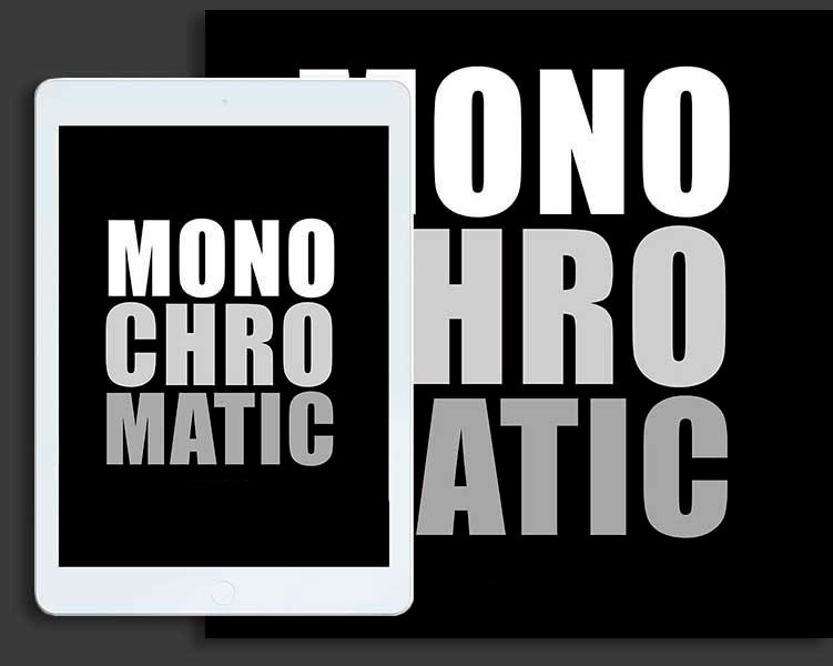 https://www.dodho.com/wp-content/uploads/2025/09/banmo25.jpg
