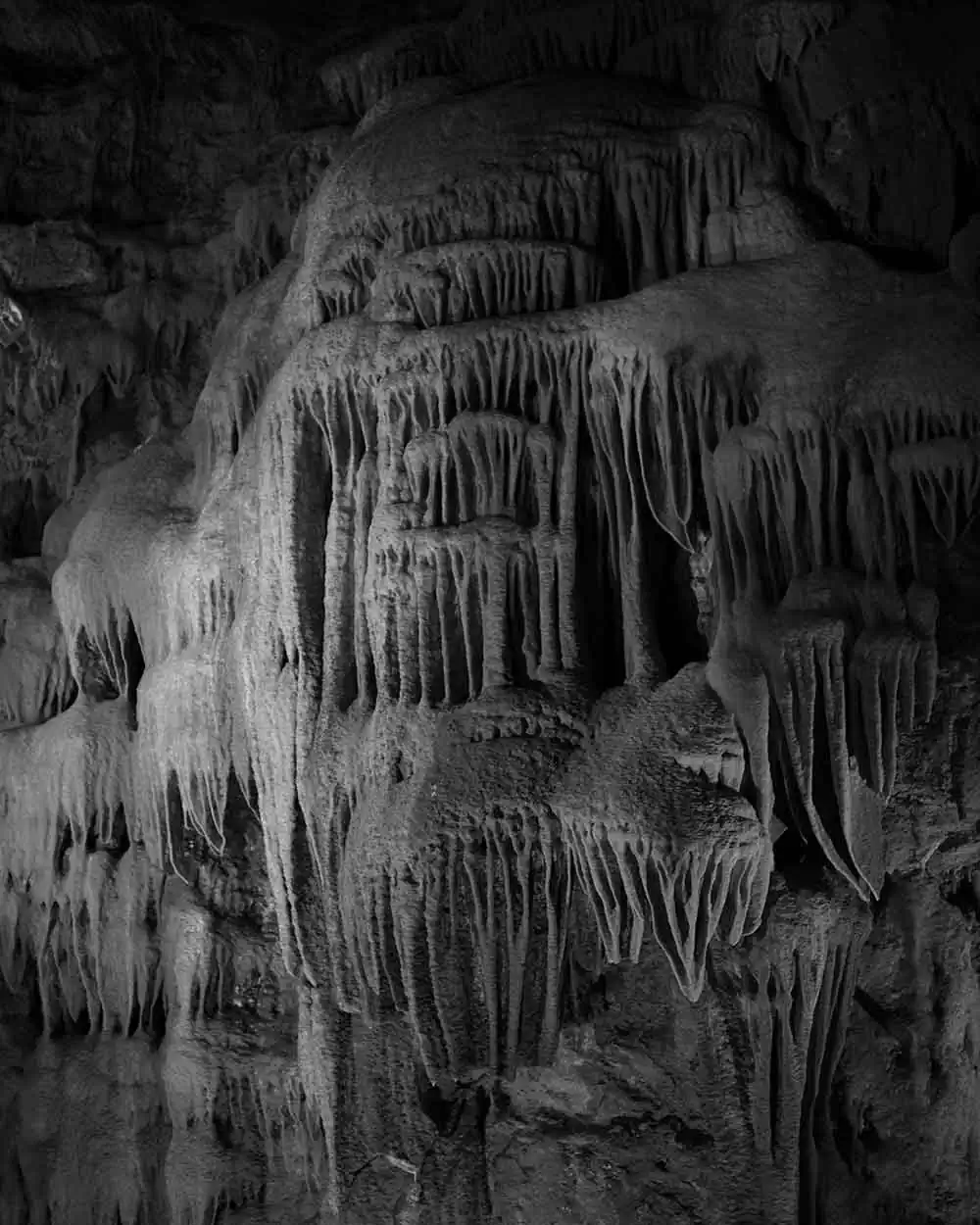 Imaginative Transmutations by Artur Leão: A Photographic Journey