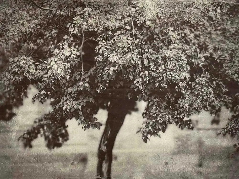 The Weight of Light by Wendi Schneider : Monochrome, Gold Leaf, and Emotional Depth