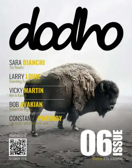 https://www.dodho.com/wp-content/uploads/2025/12/cover6-PRINT-copy-430x547-1.webp