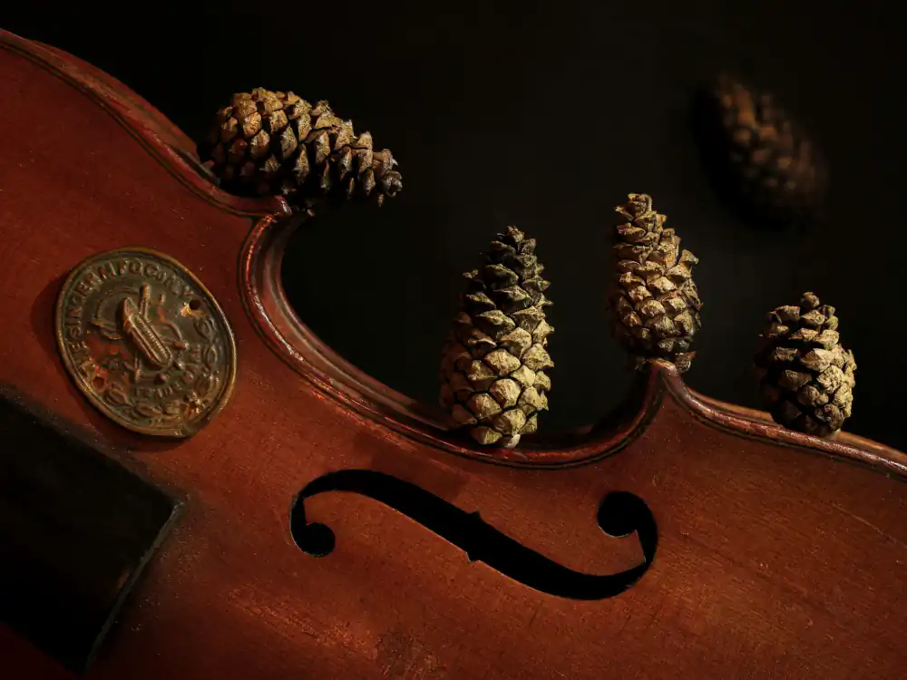 GuruShots: Still Life