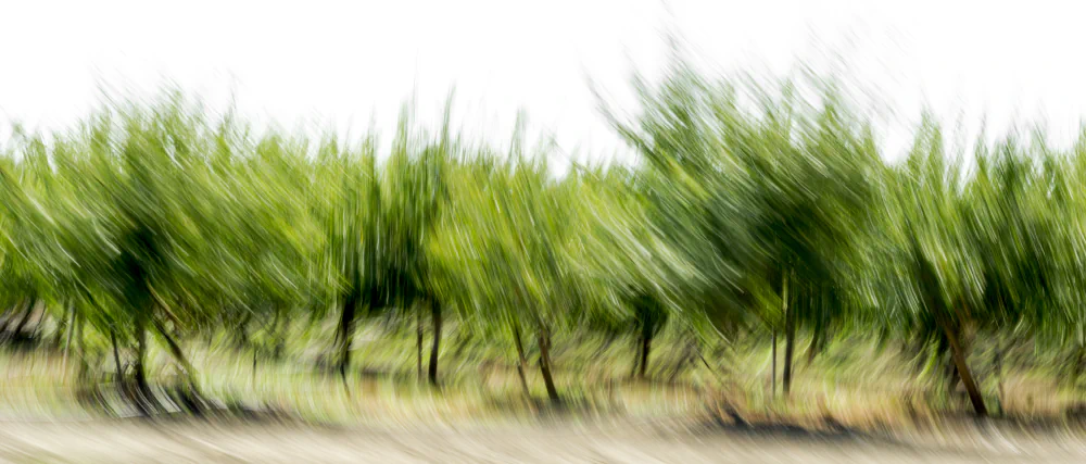 65 MPH by Marsha Guggenheim, A Photographic Journey Through Memory