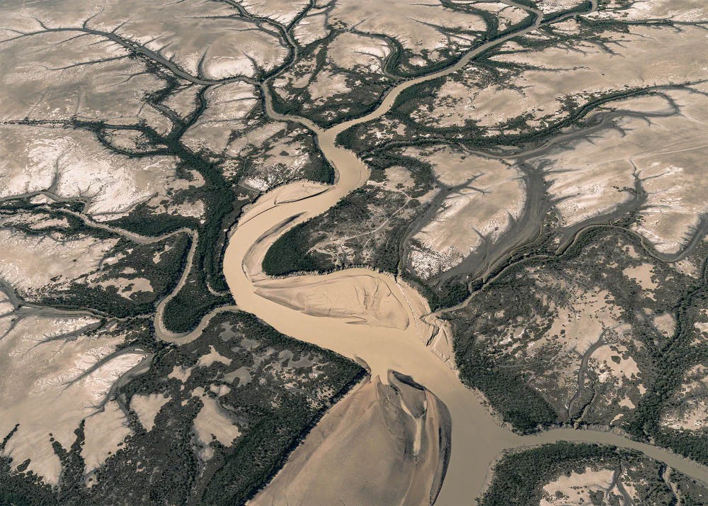 Roots by Brigitte Bourger: Reading the Land Through Abstract Aerial Photography