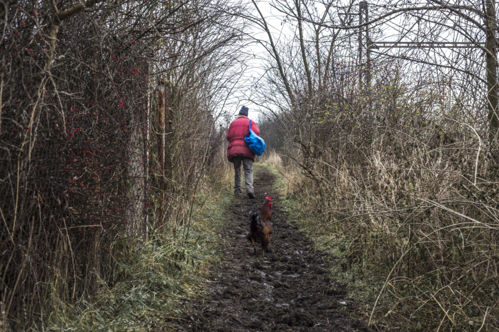 The Hermit by Marta Režová: Identity, Isolation and Survival