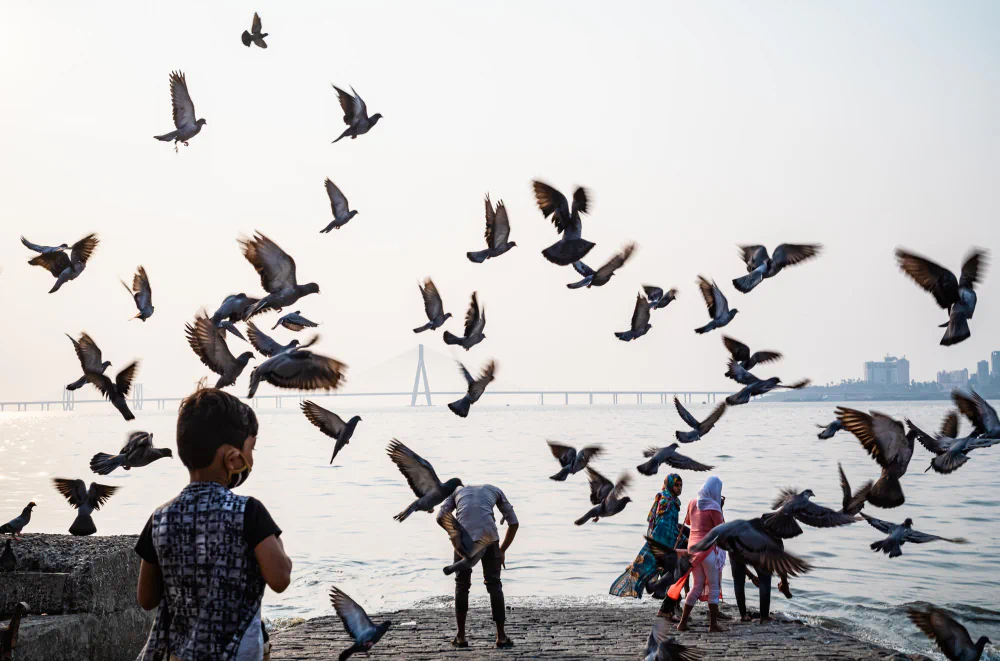 The Real Mumbaikars by Ulka Chauhan: Faces, Streets, and Everyday Life in Mumbai