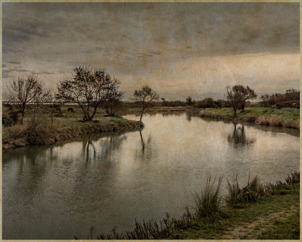 The Refuge by Cyrus Cornut: An Urban and Natural Exploration of Montpellier