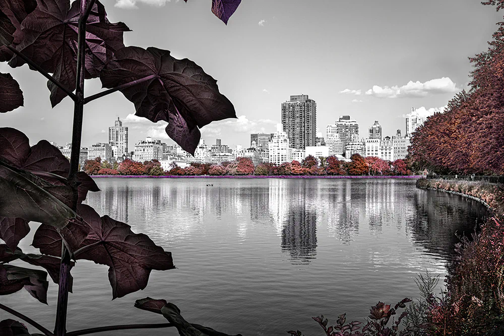Central Park – Zeckendorf Project by Cynthia Karalla: When Landscape Becomes Perception
