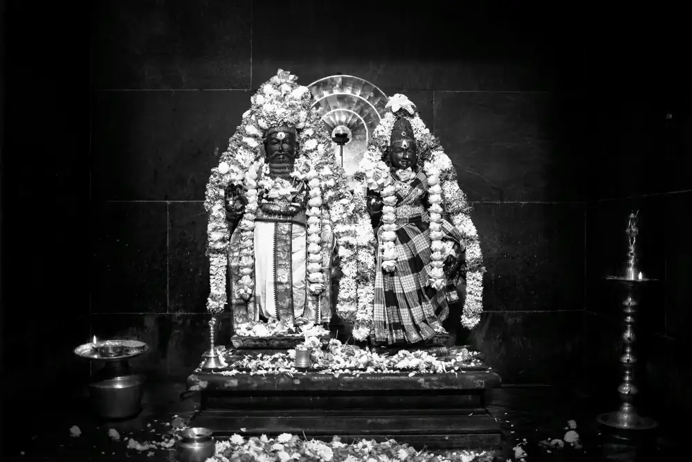 More Than a Temple of Stone by Senthil K. Rajendran; Community, Food, and Humanity